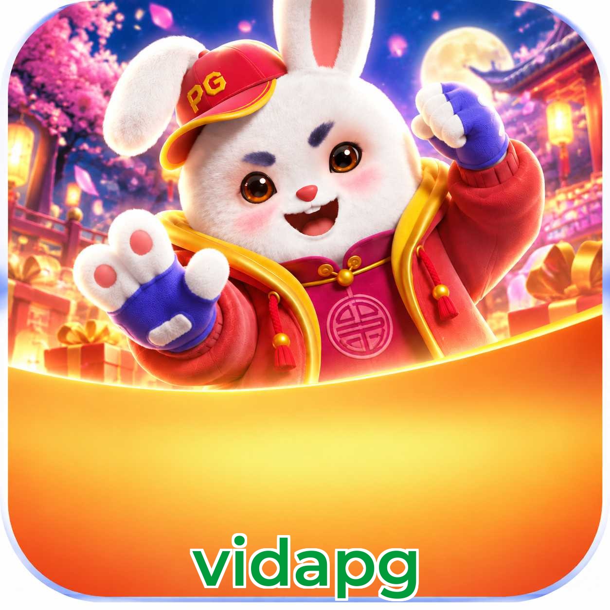 Segurança do APK vidapg